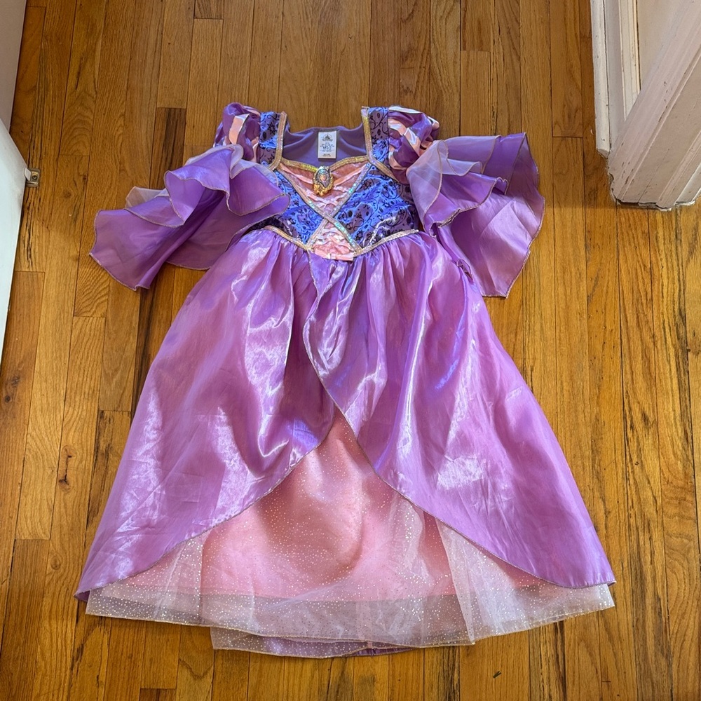 Disney Purple and Pink Princess Repunzel Dress Costume